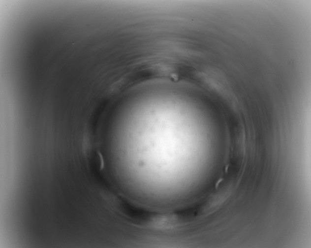 X0000088650274200706011226