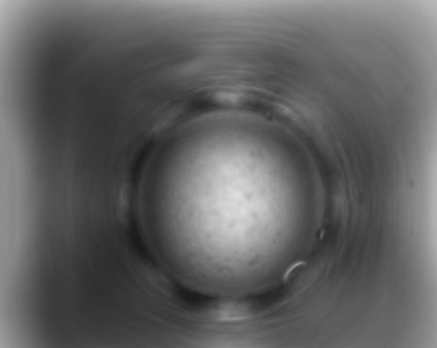 X0000088650275200706011226