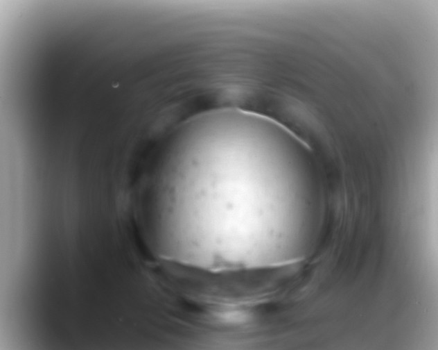 X0000088650276200706011226