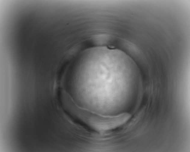 X0000088650277200706011226