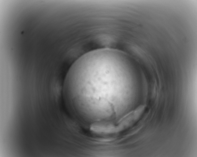 X0000088650279200706011226