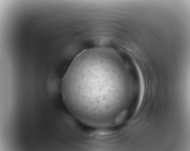 X0000088650280200706011226