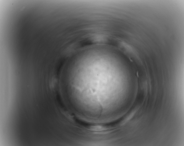 X0000088650281200706011226