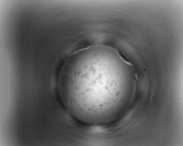 X0000088650283200706011226