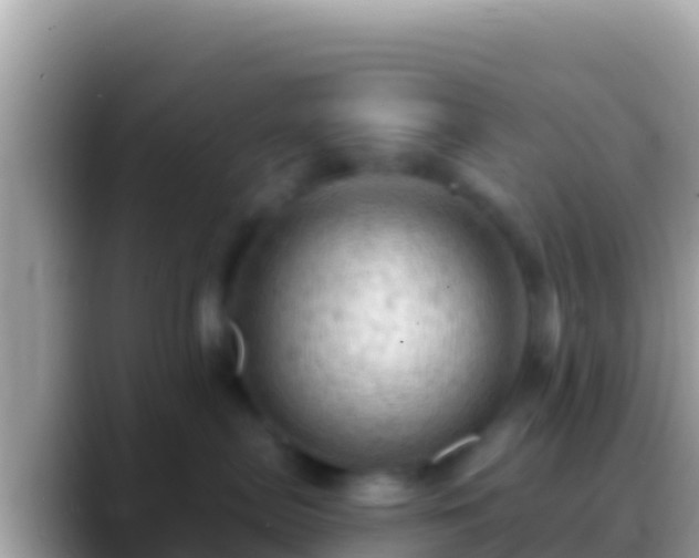 X0000088650287200706011226