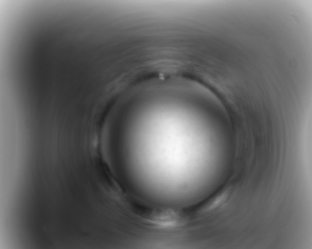 X0000088650288200706011226