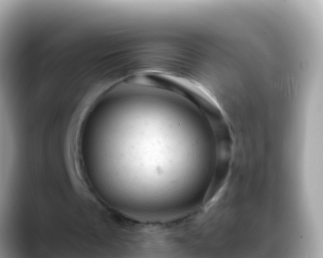 X0000088650289200706011226