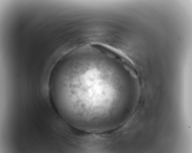 X0000088650290200706011226