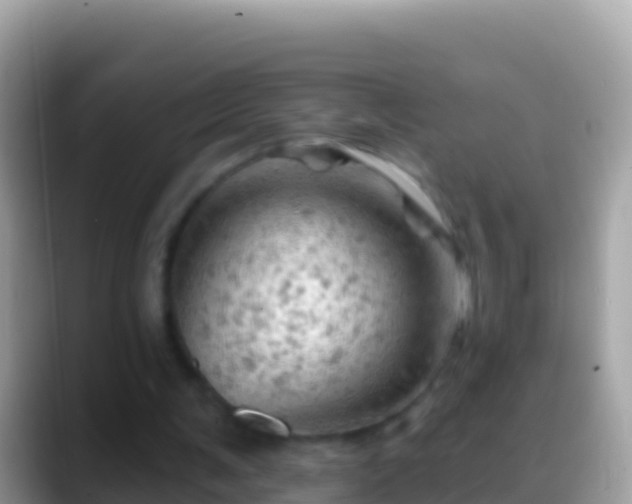 X0000088650291200706011226