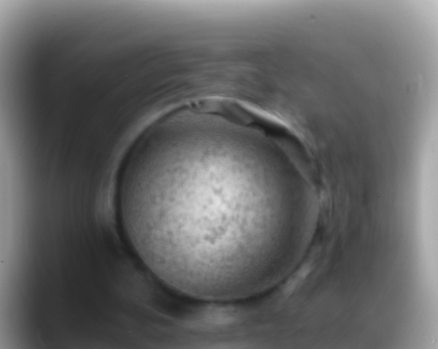 X0000088650292200706011226