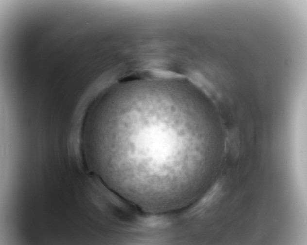 X0000088650293200706011226