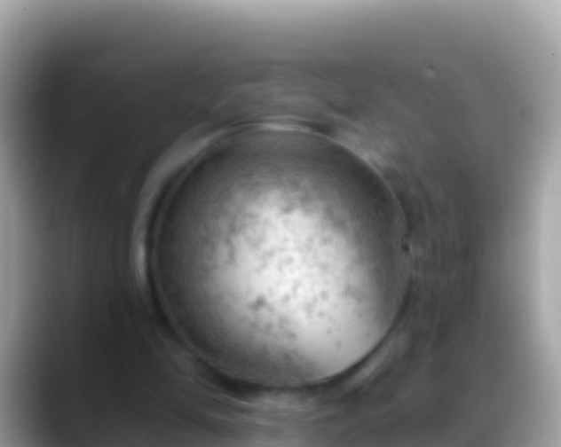 X0000088650294200706011226