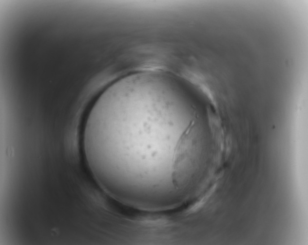 X0000088650296200706011226