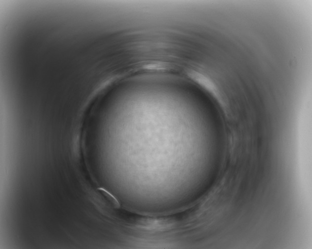 X0000088650297200706011226