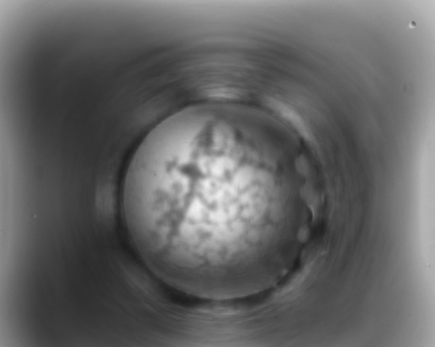 X0000088650299200706011226