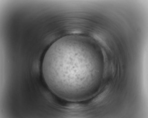 X0000088650300200706011226