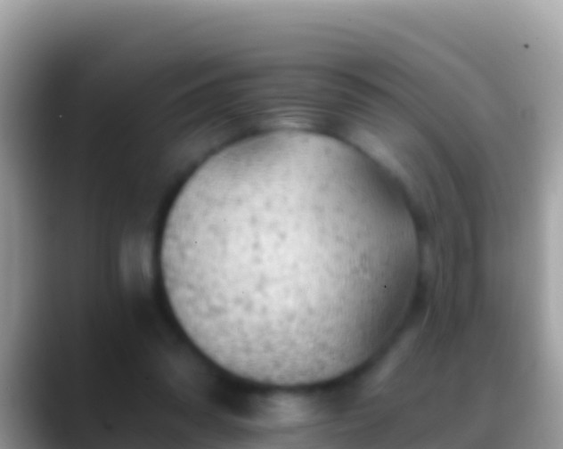 X0000088650302200706011226