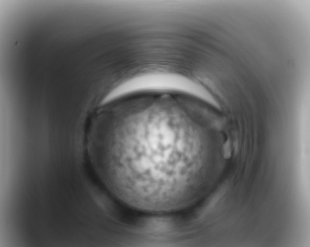 X0000088650303200706011226