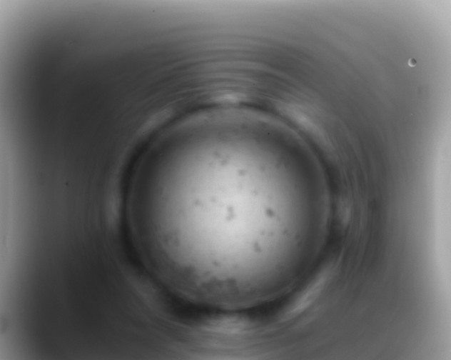 X0000088650304200706011226