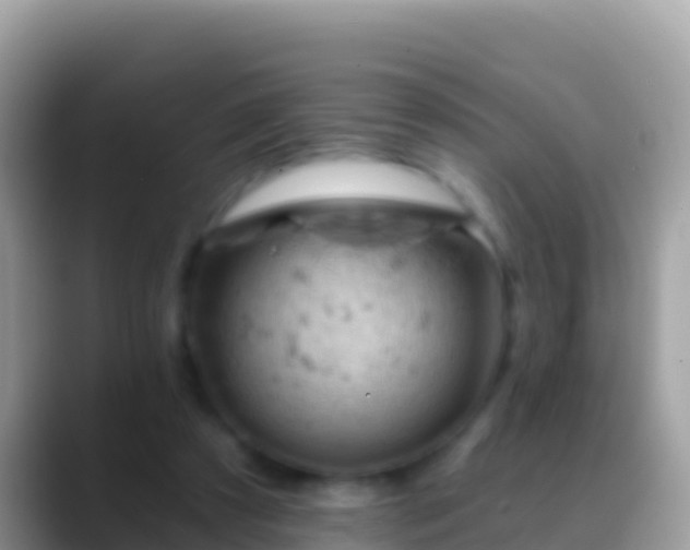 X0000088650305200706011226