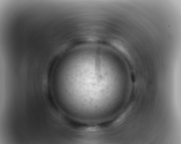 X0000088650306200706011226