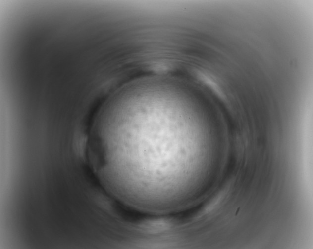 X0000088650307200706011226