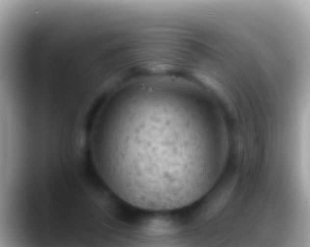 X0000088650308200706011226