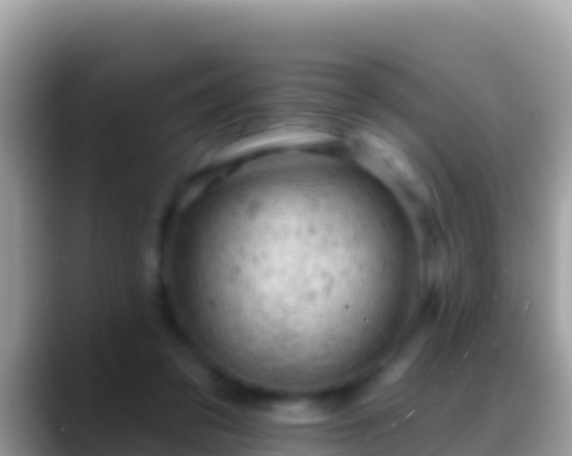 X0000088650309200706011226