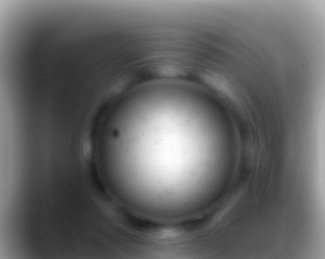 X0000088650310200706011226