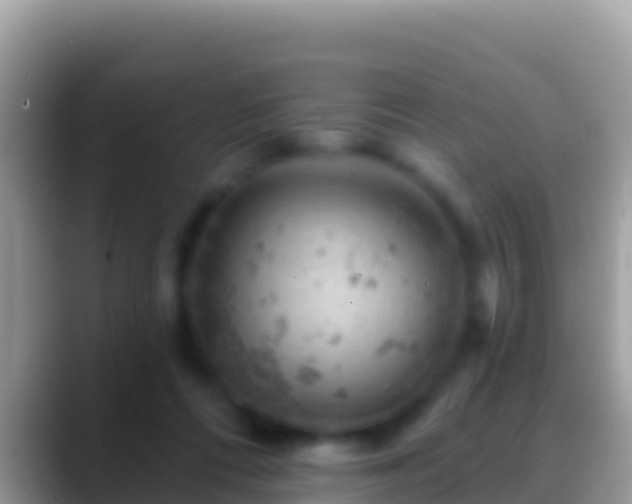 X0000088650312200706011226