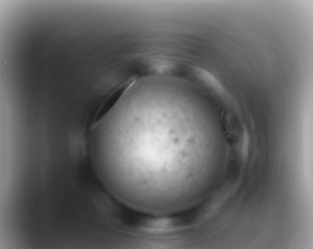 X0000088650313200706011226