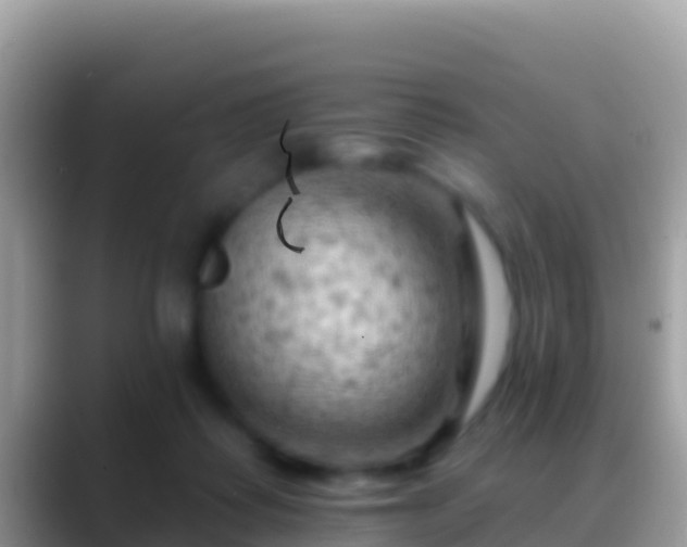 X0000088650315200706011226