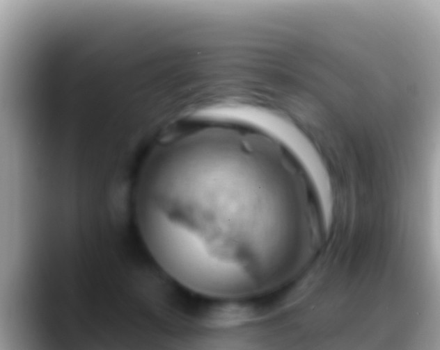 X0000088650319200706011226