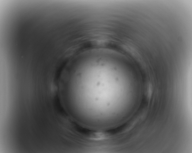 X0000088650324200706011225