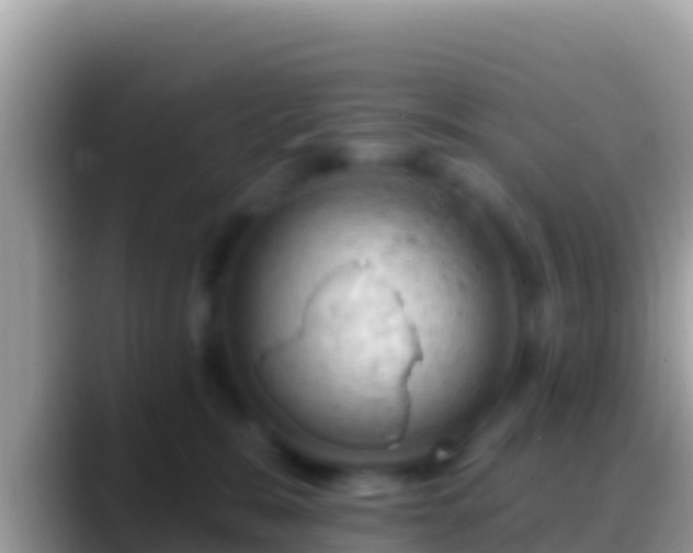 X0000088650327200706011225