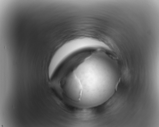 X0000088650329200706011225