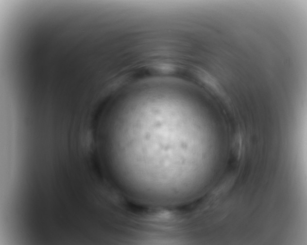 X0000088650330200706011225