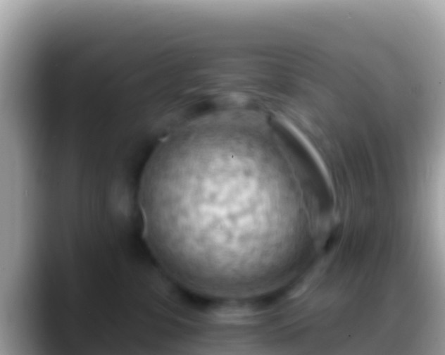 X0000088650331200706011225