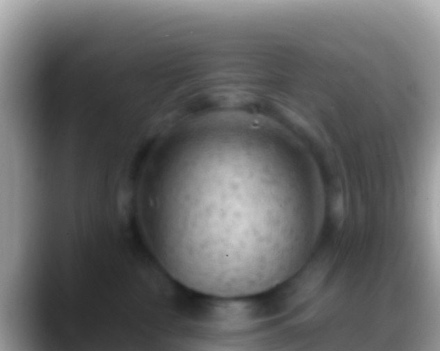 X0000088650332200706011225