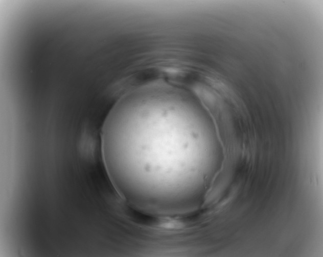 X0000088650333200706011225