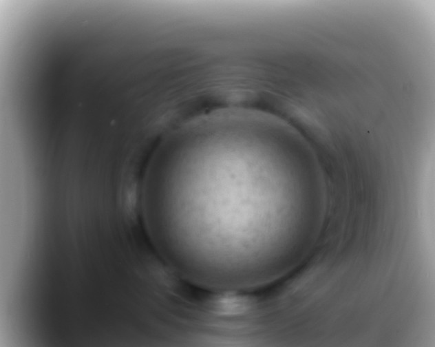 X0000088650336200706011225