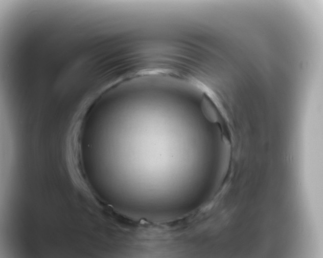 X0000088650337200706011225