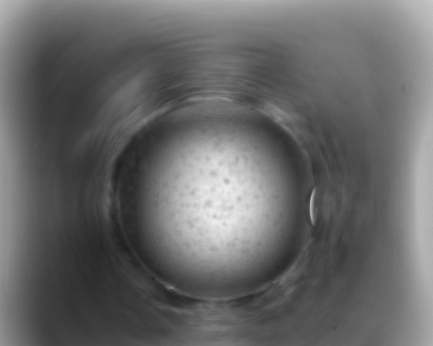 X0000088650338200706011225