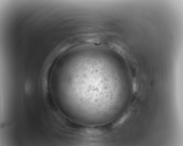 X0000088650339200706011225