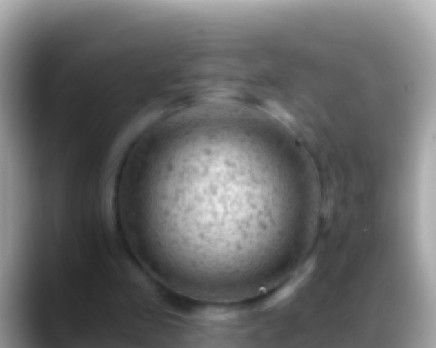 X0000088650341200706011225