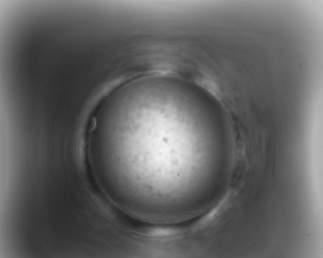 X0000088650342200706011225