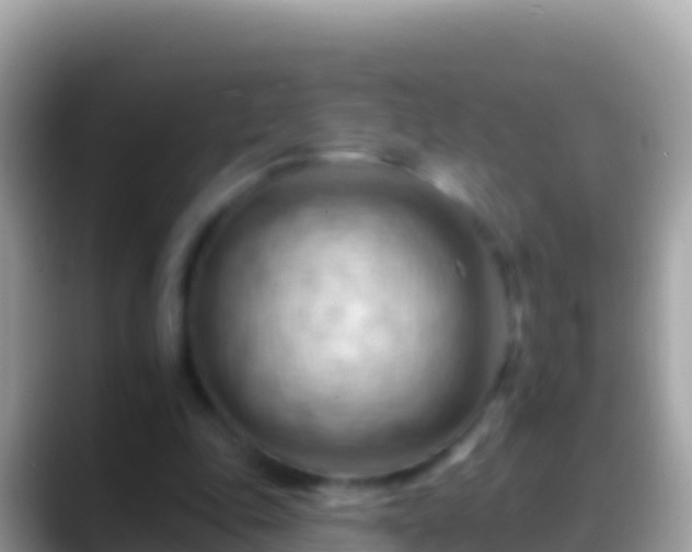 X0000088650343200706011225