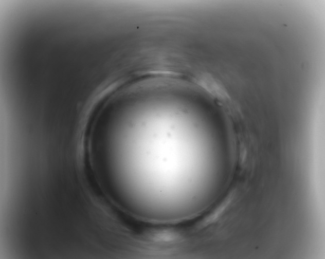 X0000088650344200706011225