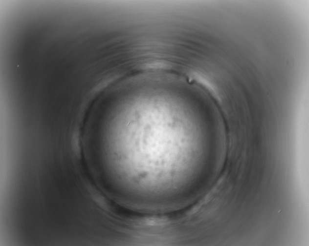 X0000088650345200706011225