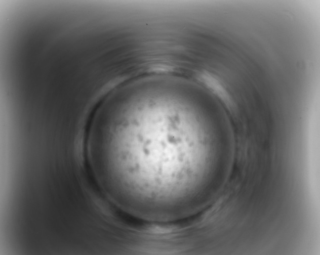 X0000088650346200706011225